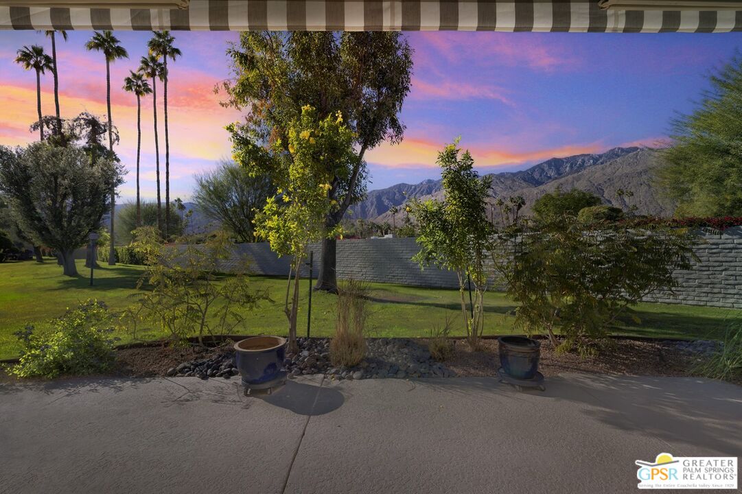 a view of a yard with an tree