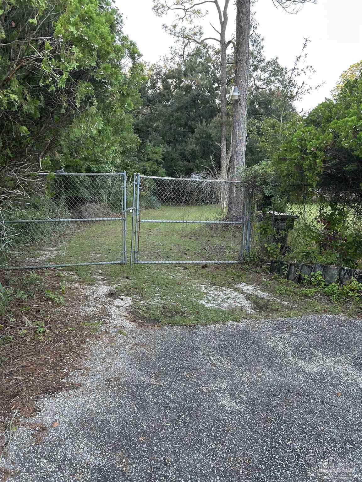 a view of a backyard with trees