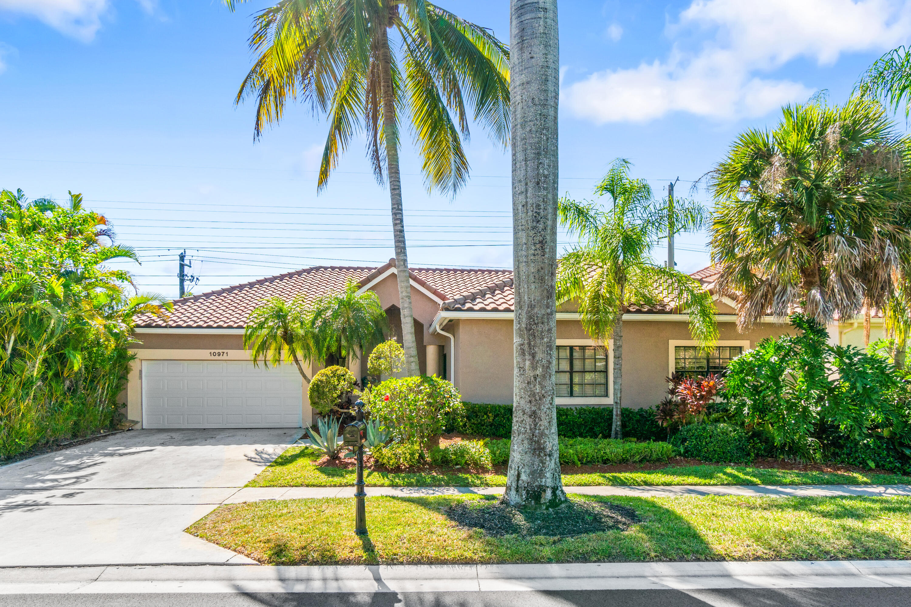 a palm tree sitting in front of a house with a yard