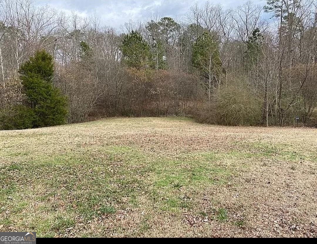 a view of empty room with green space