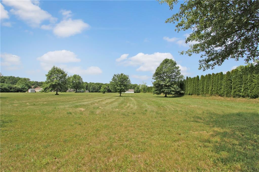 a view of a field with grass and trees