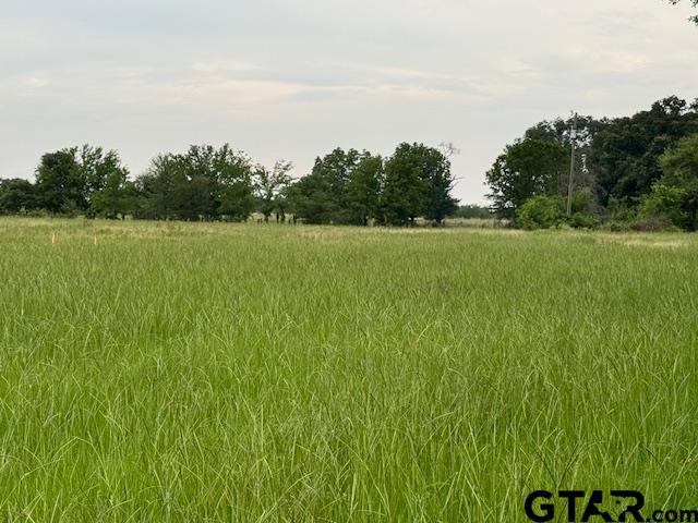 a view of a green field with trees in the background