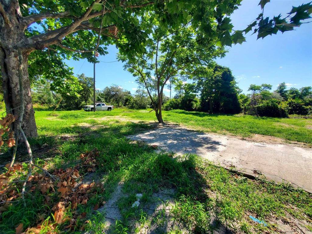 a view of a yard with plants and trees