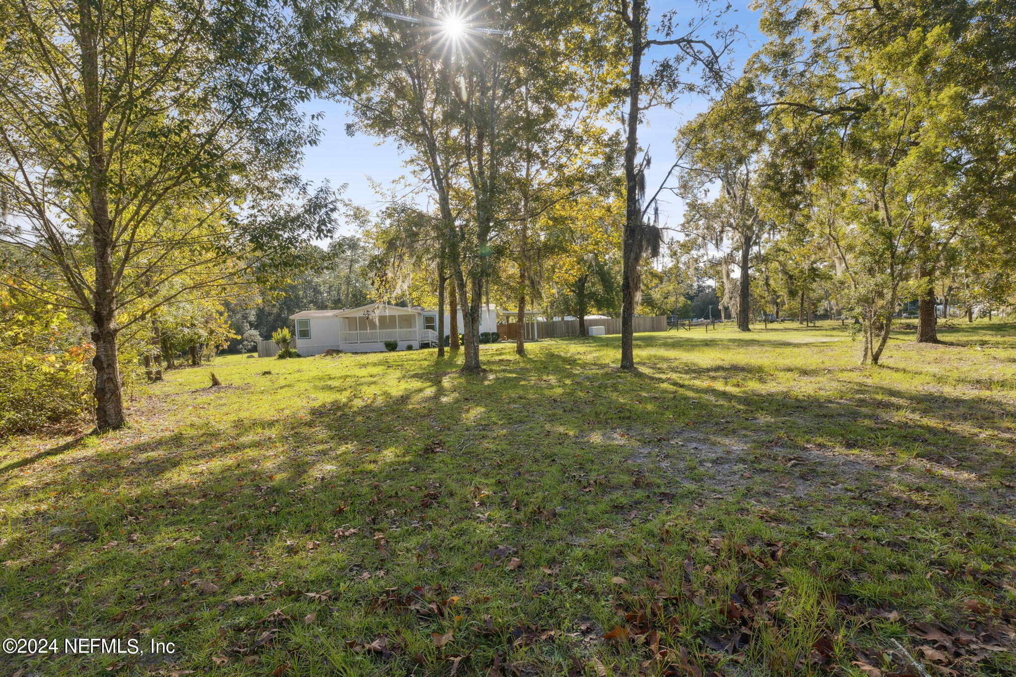 a view of a park with large trees