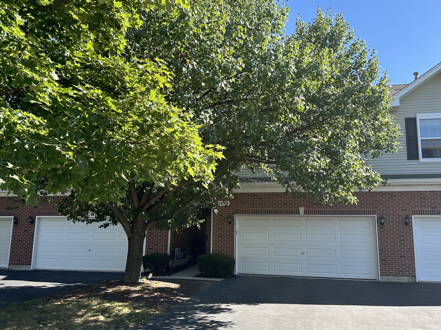 a front view of a house with a tree