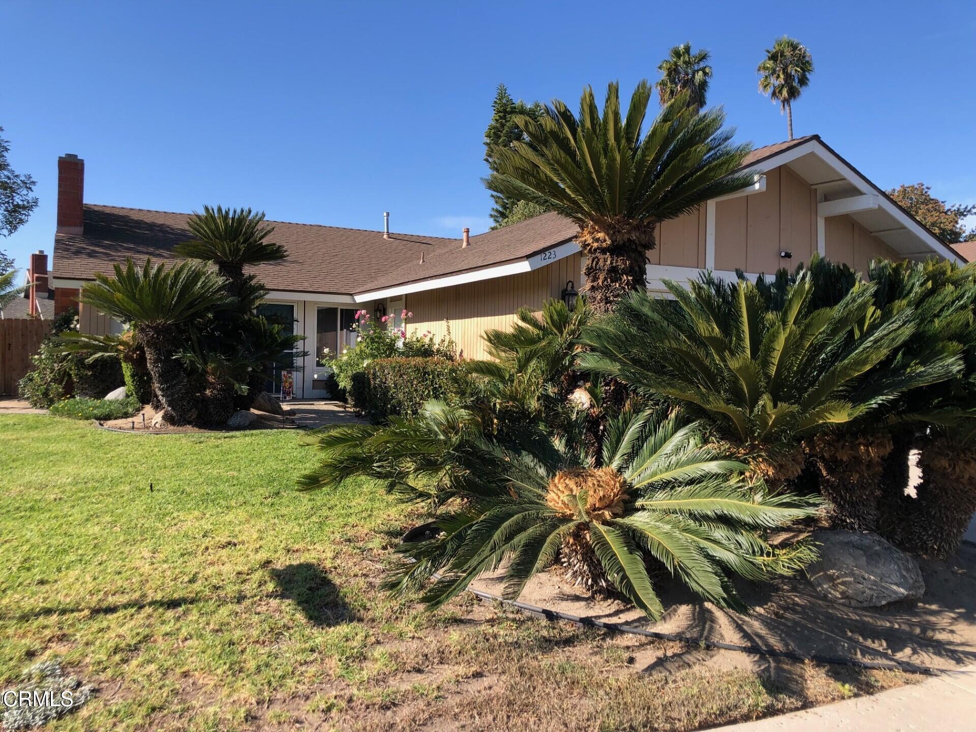 a view of a house with a palm tree