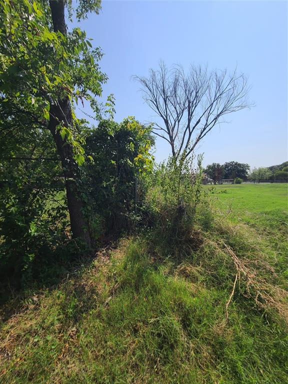 a view of a yard with a tree