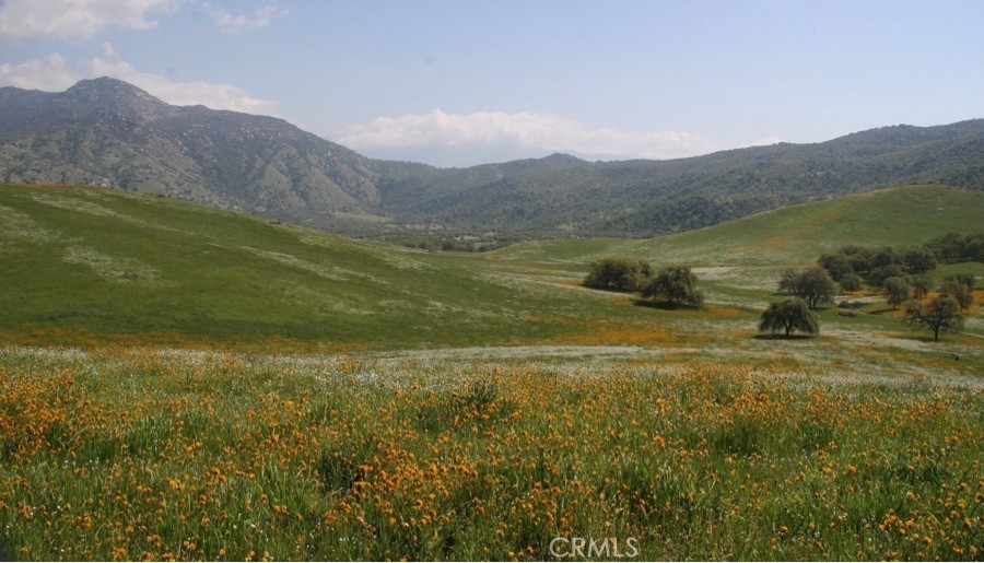 a view of a town with mountains in the background