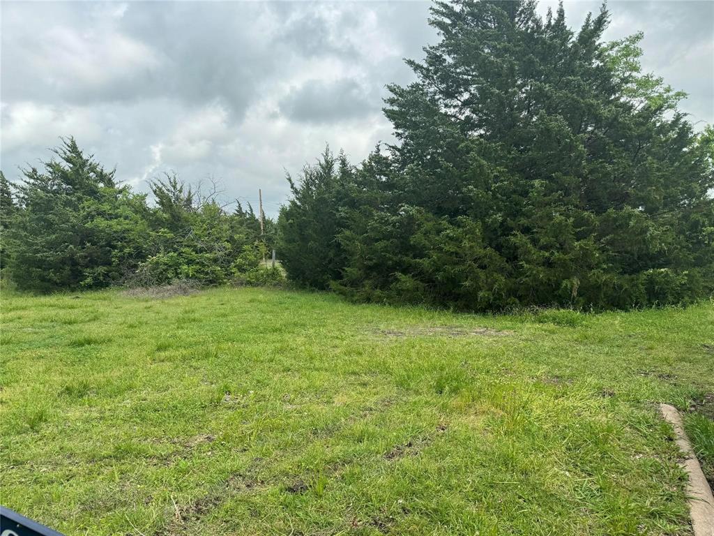 a view of a big yard with lots of green space