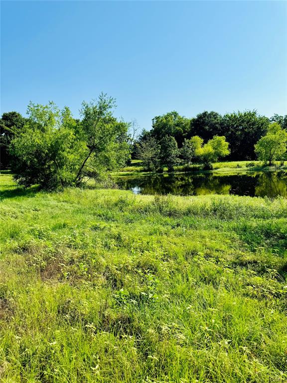 a view of a garden with a building in the background