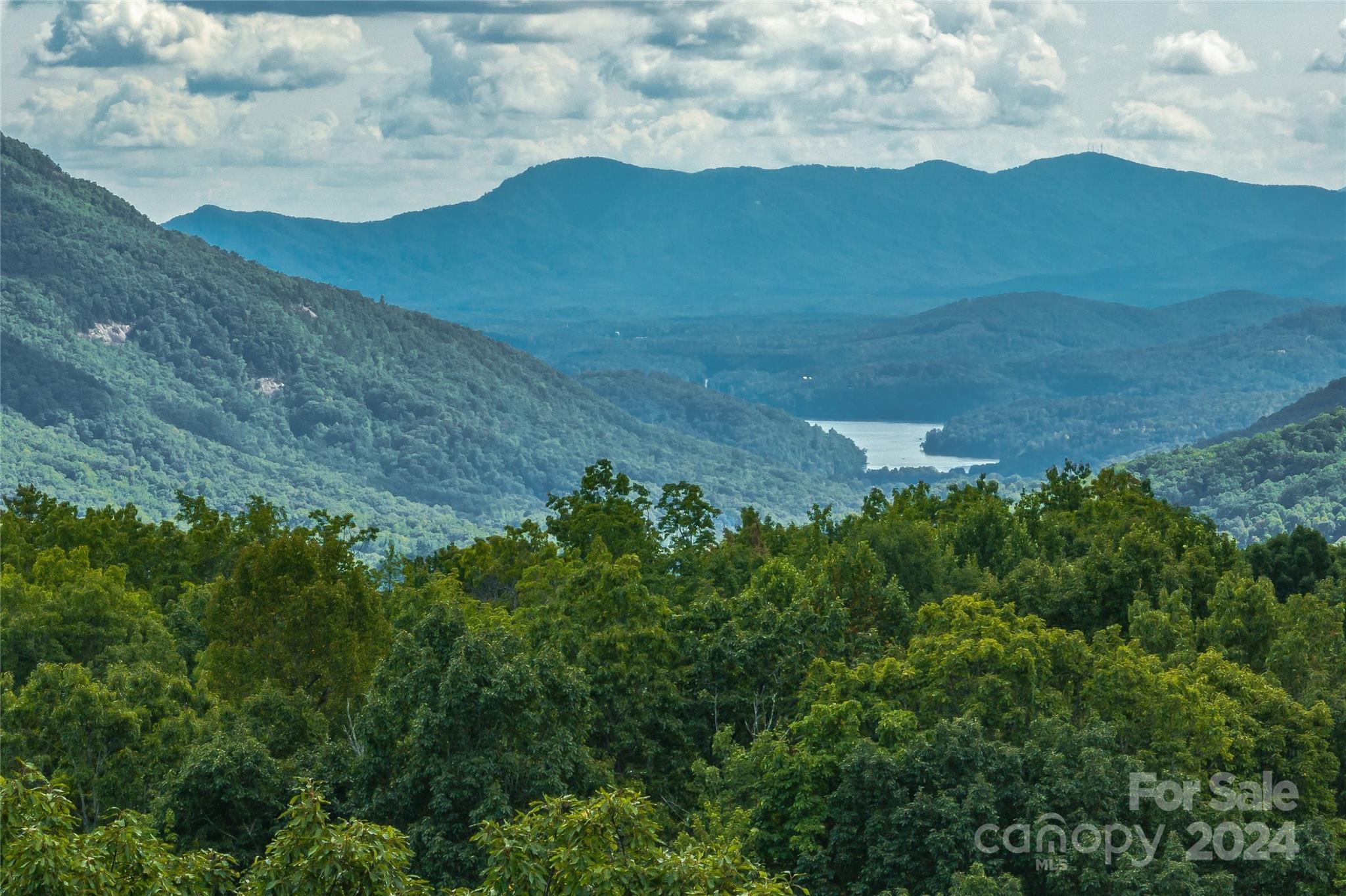 a view of a lush green hillside and a mountain