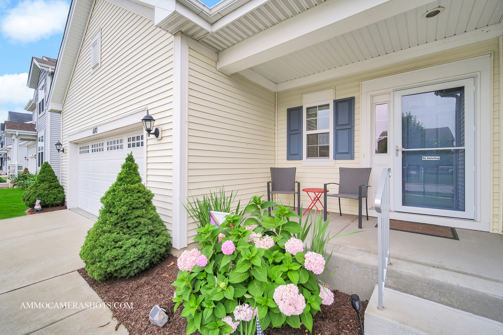 a bunch of flowers in front of house