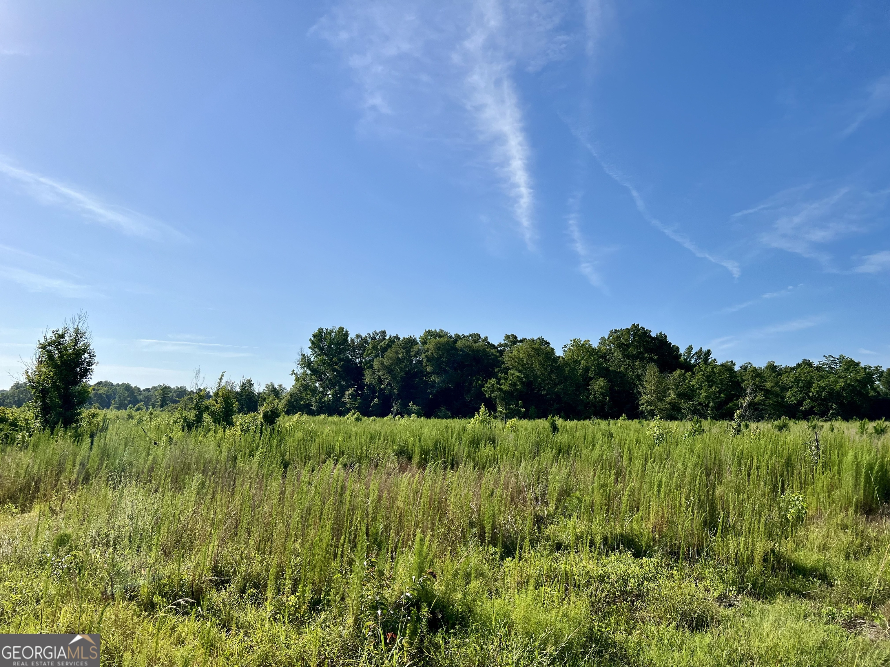 a view of a lush green field