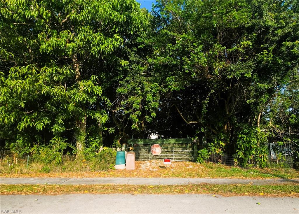 a view of a house with a tree