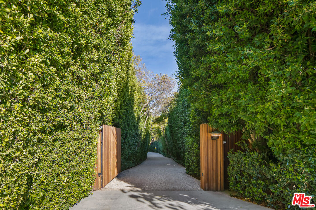 a view of a pathway of a park with plants