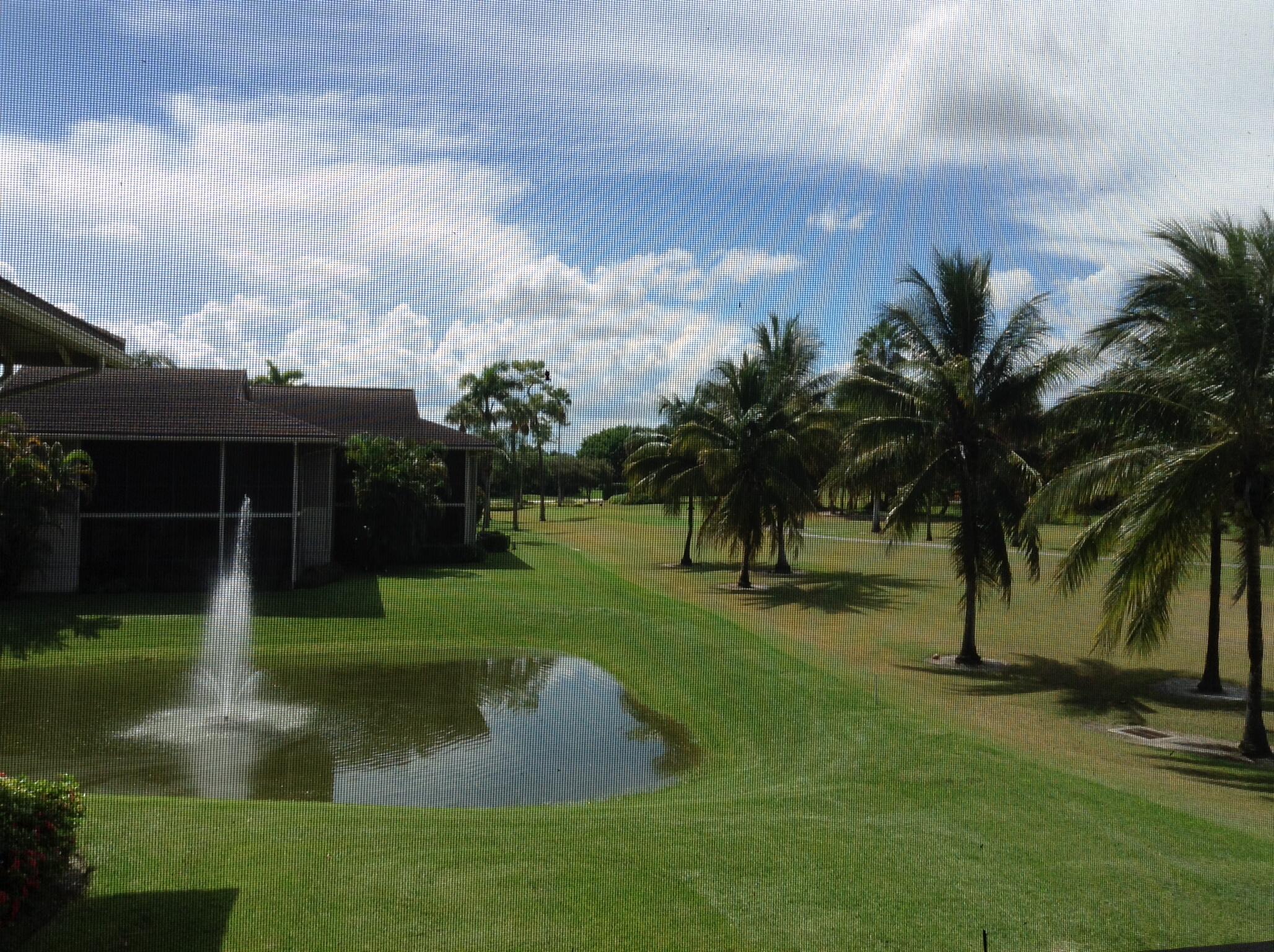 a view of a backyard with a garden