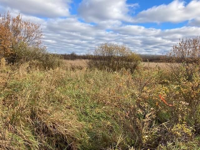 $90,000 | Tbd Metso Road | Automba Township - Carlton County