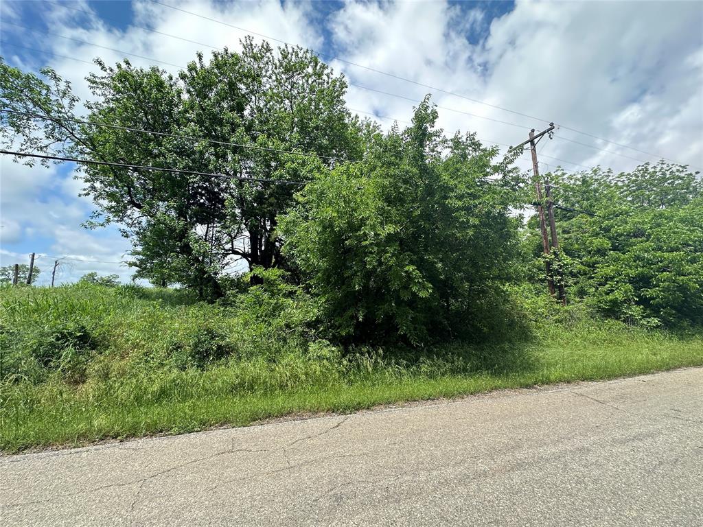 a view of a street with a tree