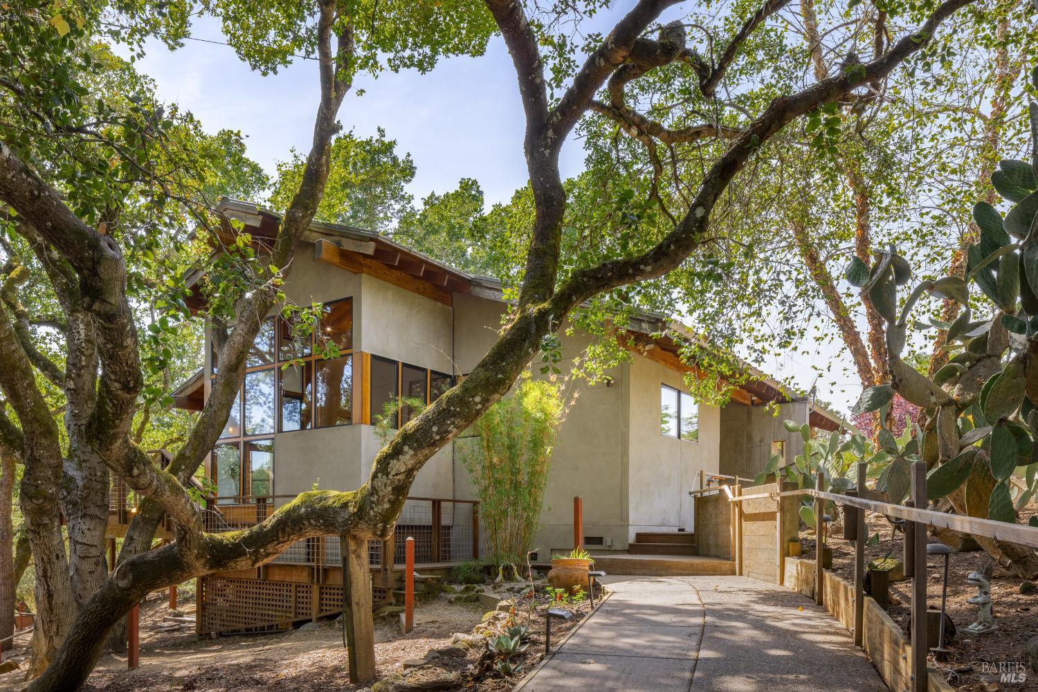 a large tree in front of a house