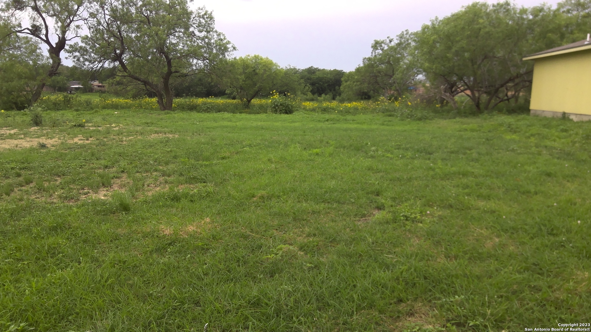 a view of outdoor space and yard