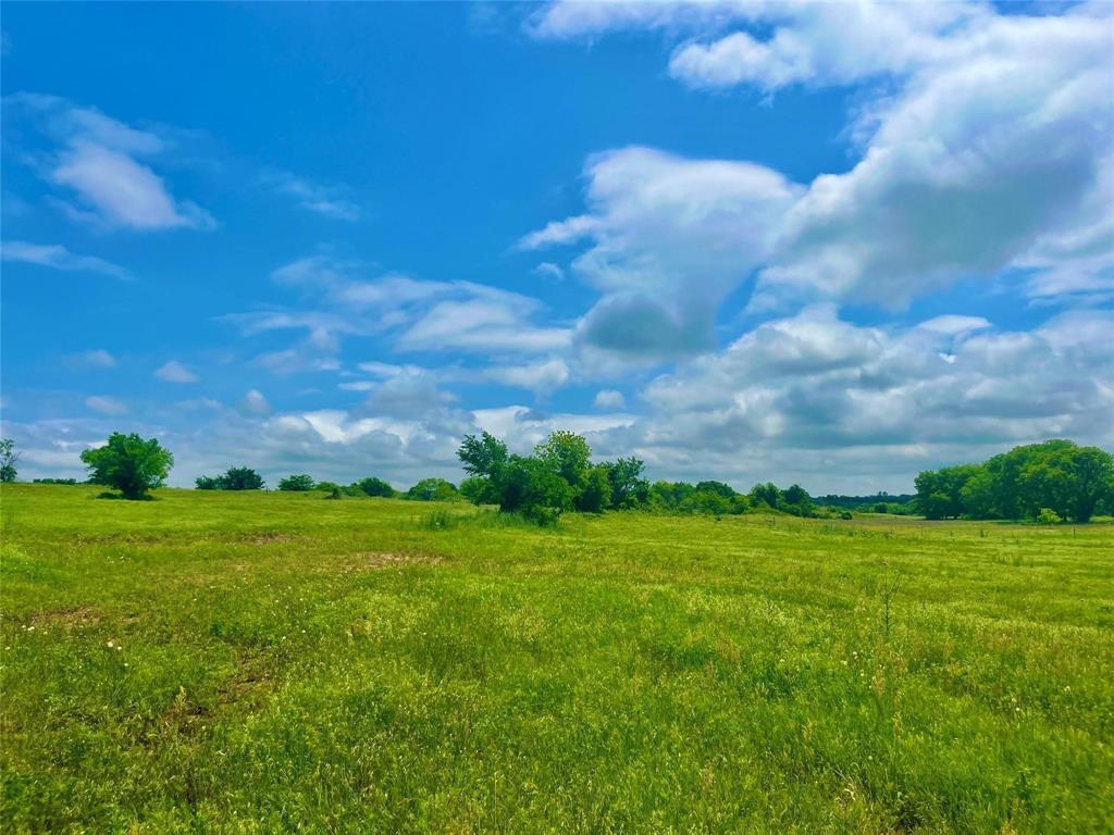 a view of a big yard with a house in the background