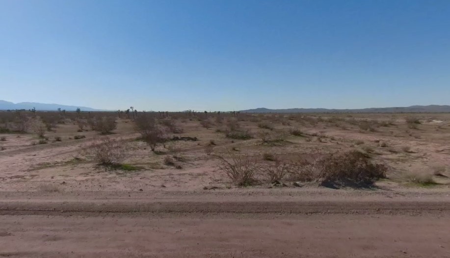 a view of a dry field with trees