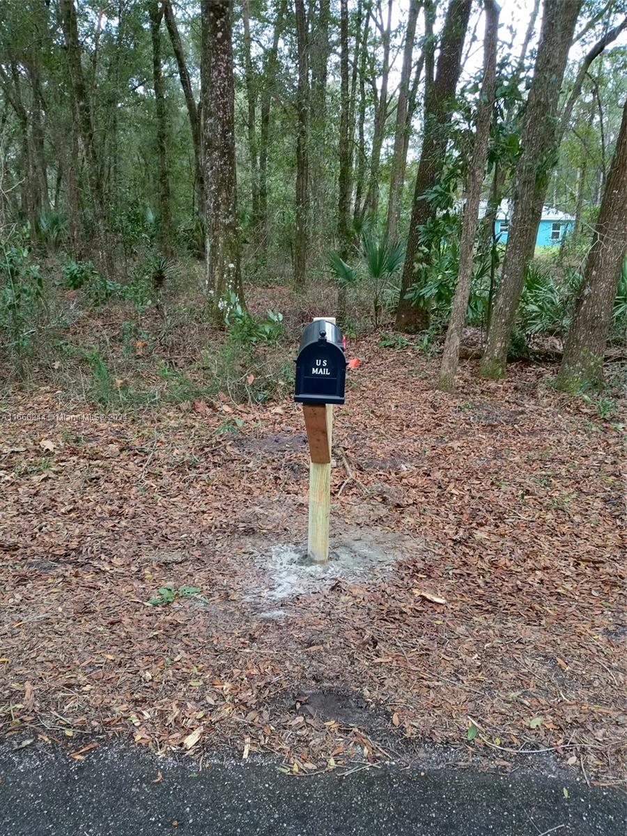 a fire hydrant in the middle of a forest