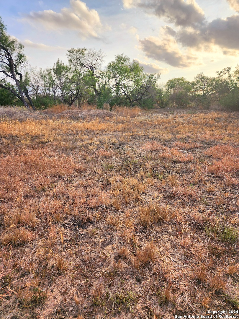 a view of a field with an ocean view