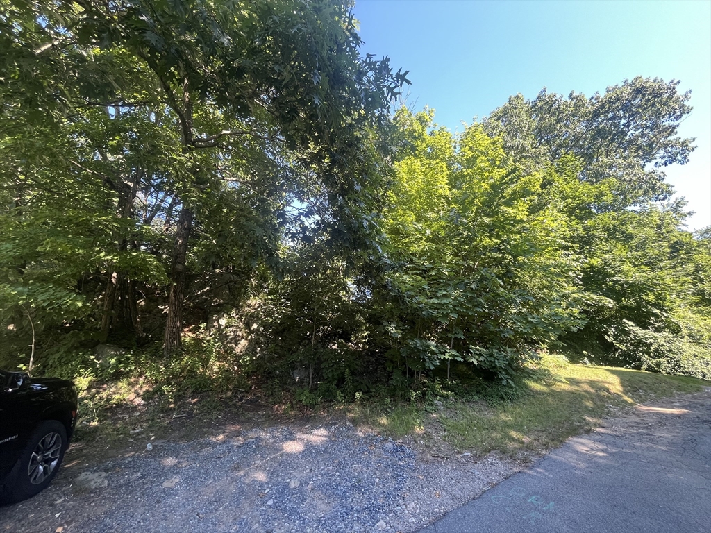 a view of outdoor space and trees