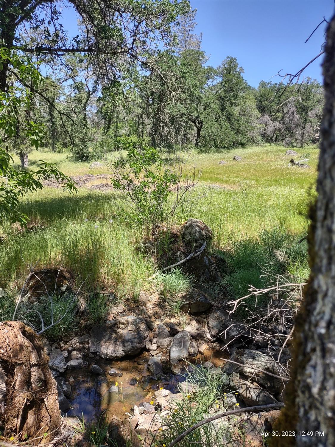 a view of a lush green forest with lots of trees