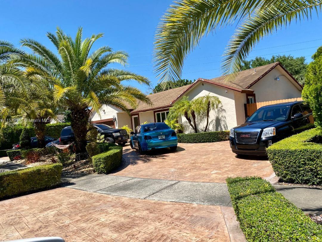 a view of a backyard with potted plants and palm trees