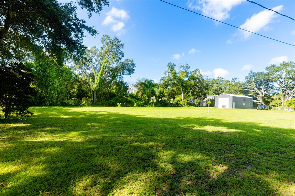 a view of a green yard