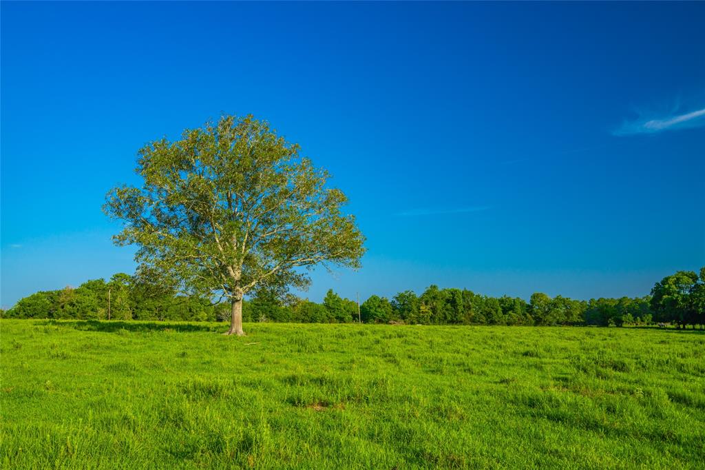 a view of a back yard