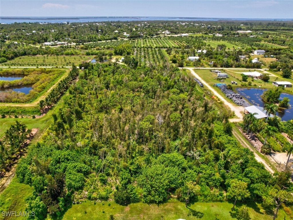 an aerial view of residential houses with outdoor space and trees