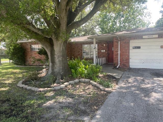 a view of a house with a tree