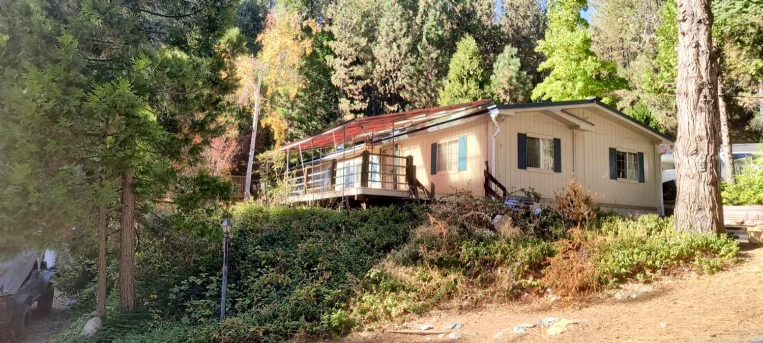 a house that has a tree in front of it