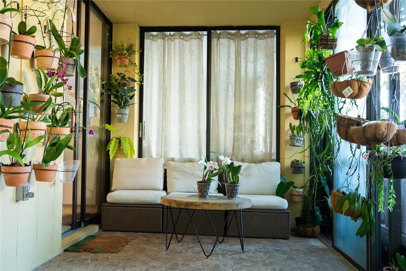 a living room with furniture and a potted plant