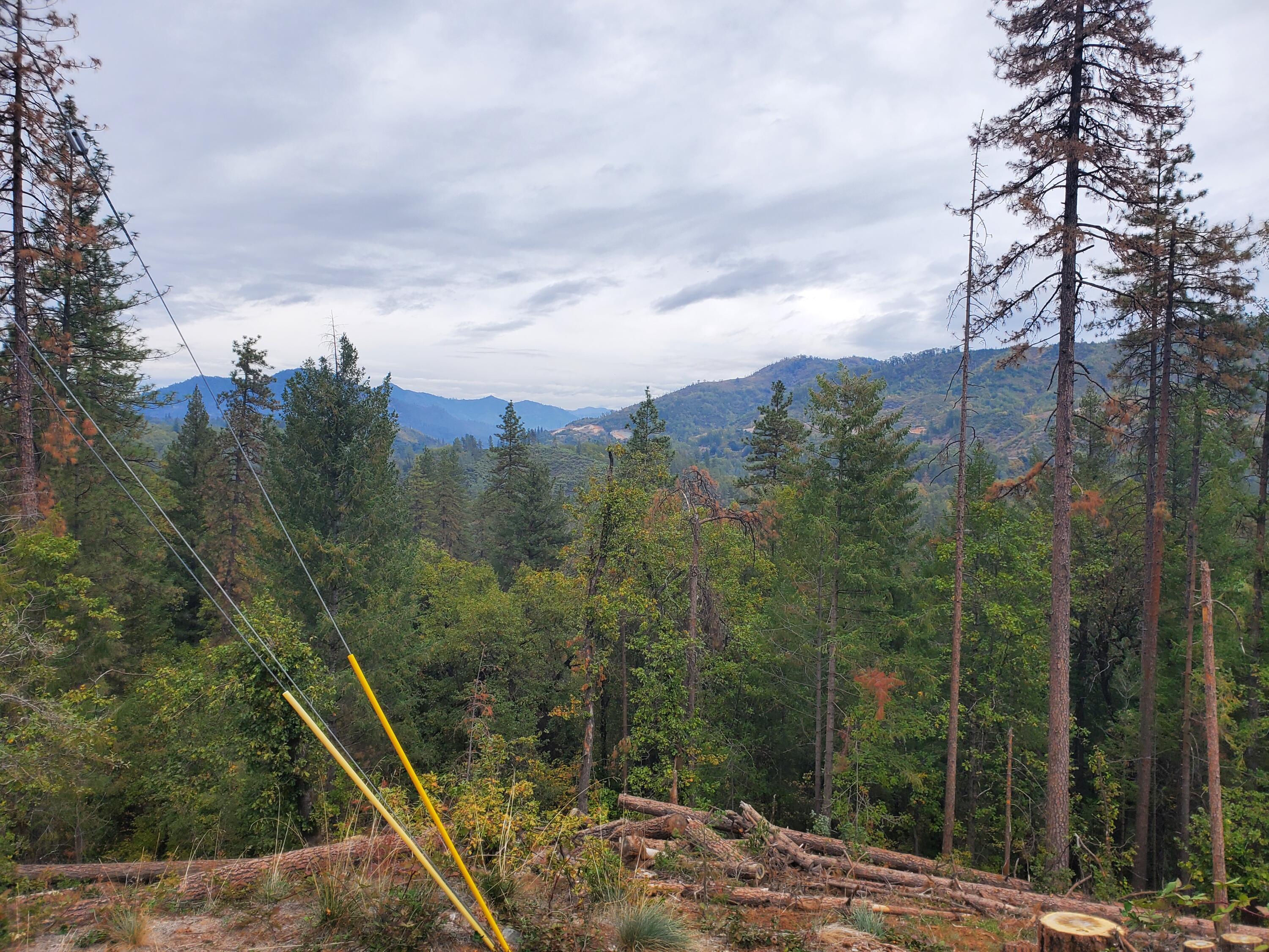 a view of a backyard of the house