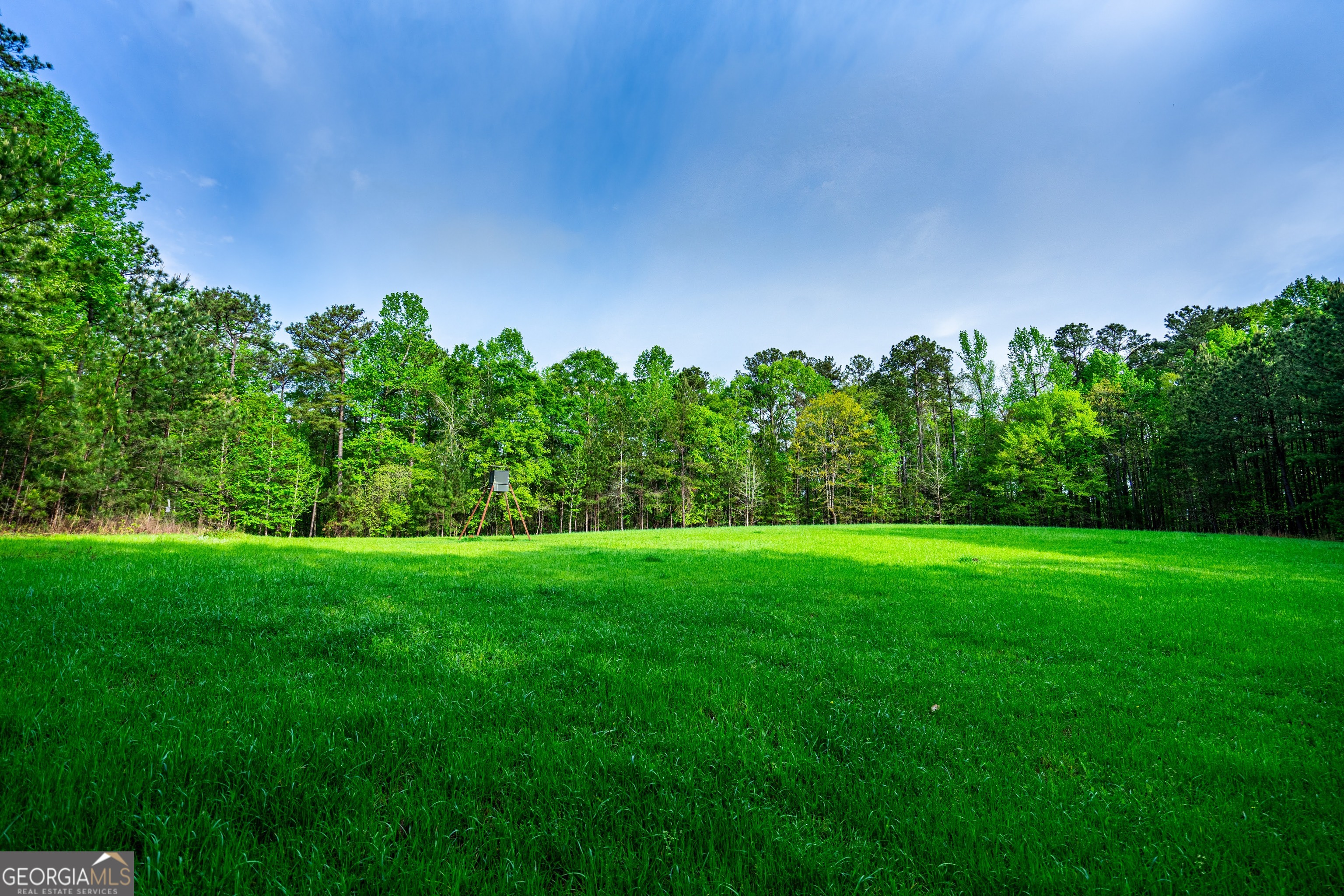 a yard with lots of green space and plants