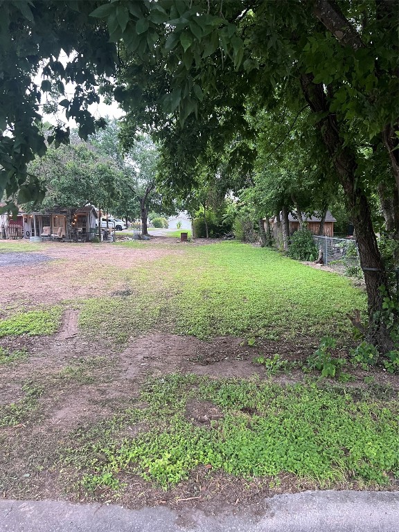 a view of a yard with a tree