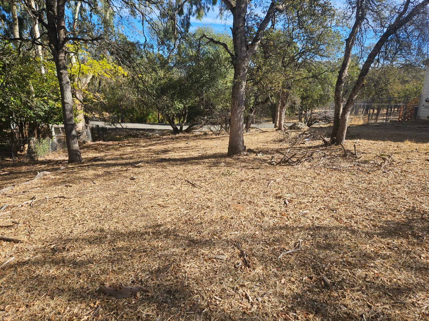 a view of road with trees