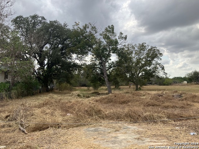 a view of dirt yard