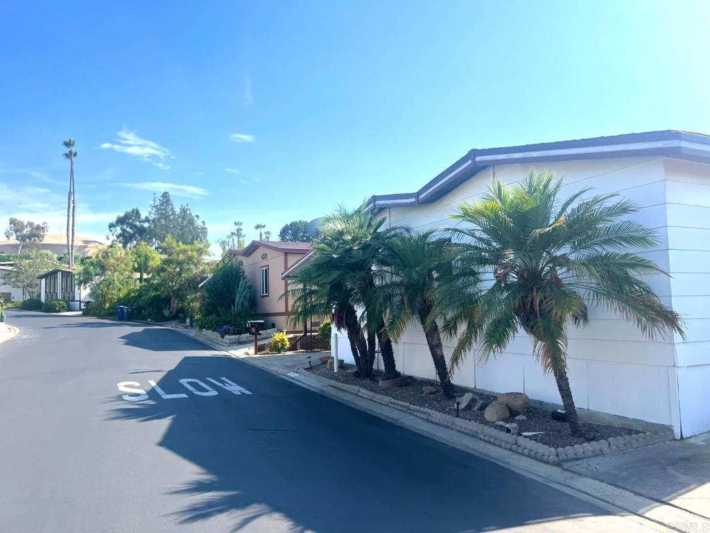 a view of a palm and entertaining space