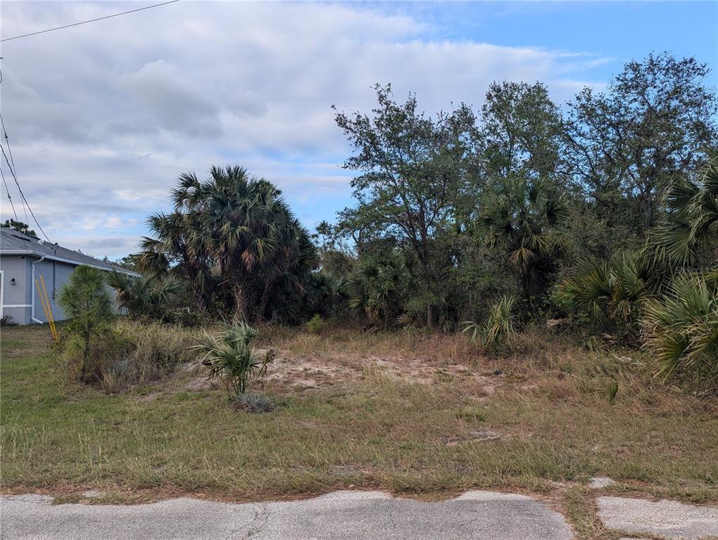 a view of a dirt road with trees in the background