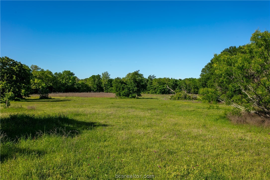 a view of a green field with wooden fence