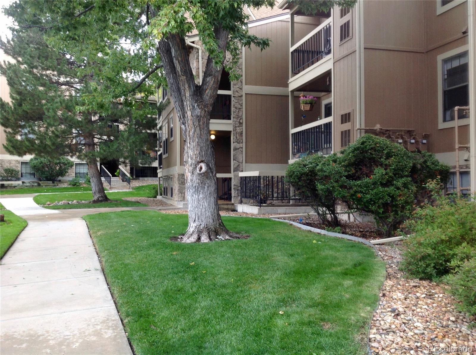 a backyard of a house with plants and large tree