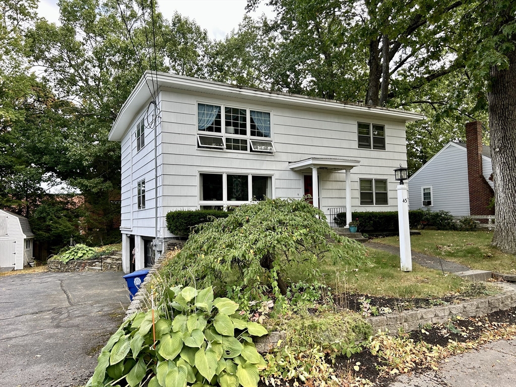 a view of a house with a yard and plant