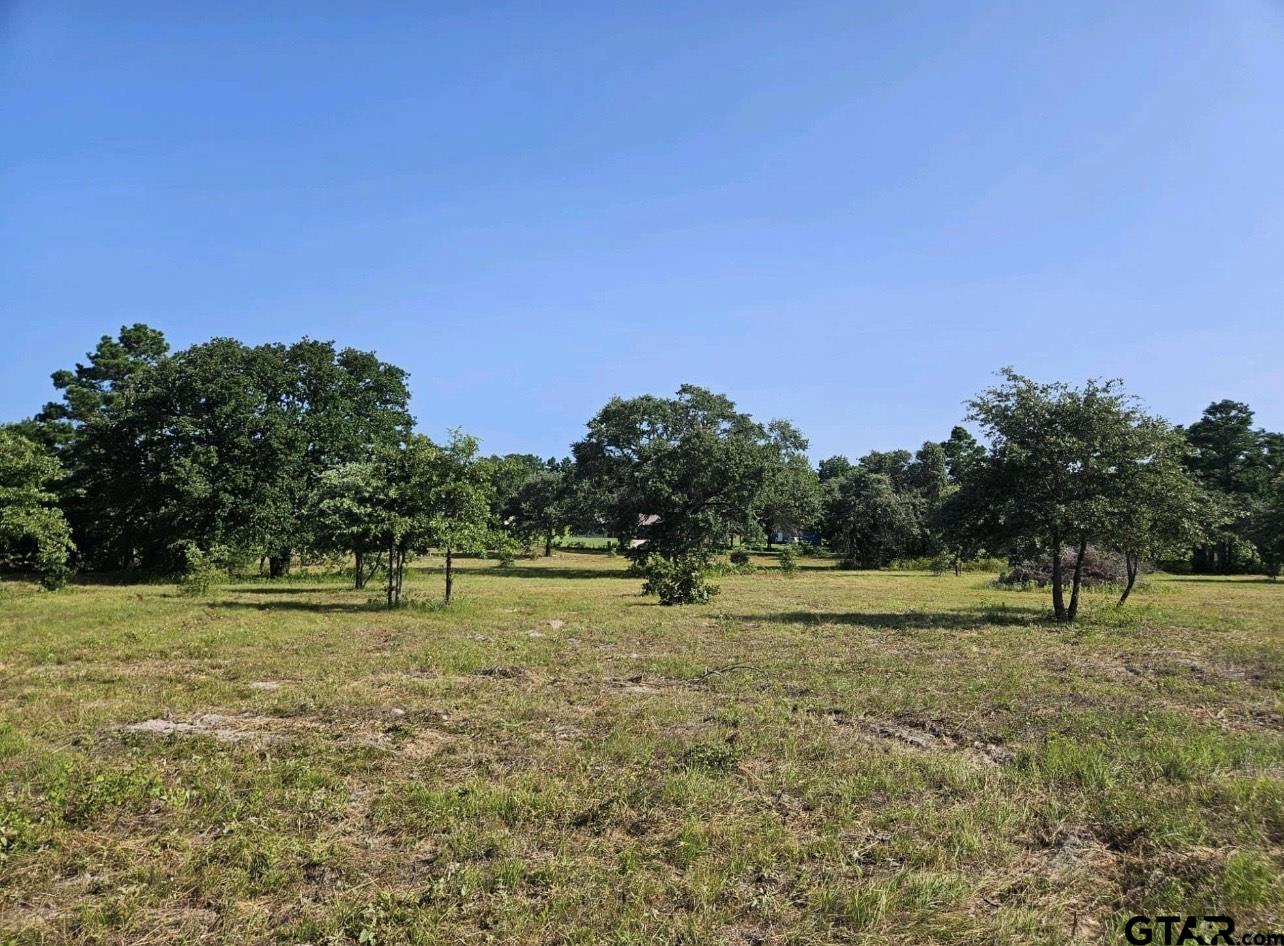 a view of outdoor space with trees all around