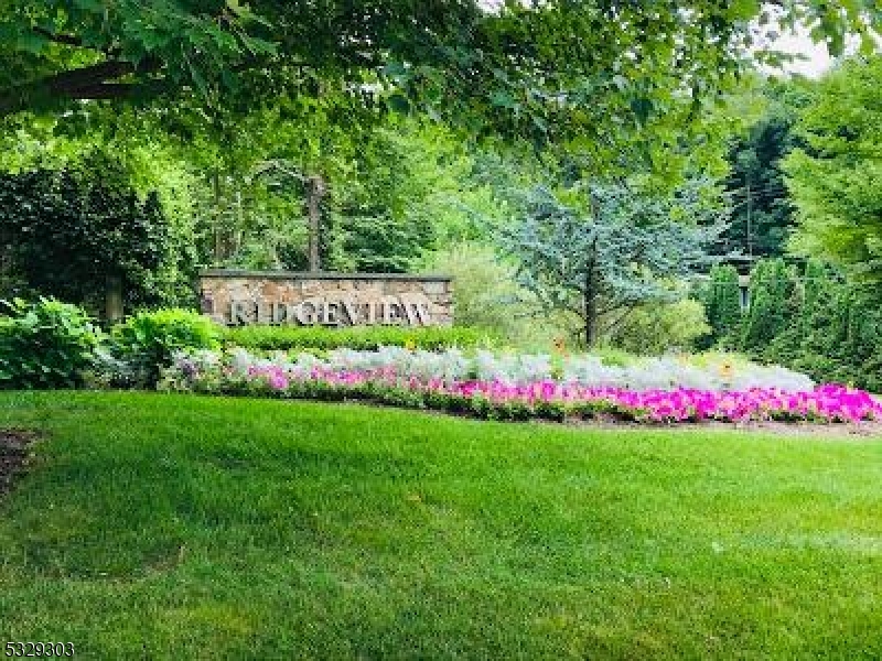 a view of a bunch of flowers and trees