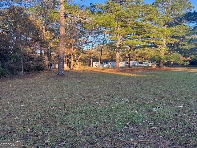 a view of a field with a tree